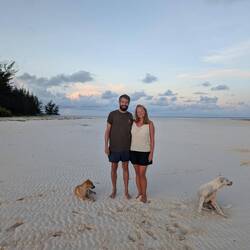 Sunset walks 🌅 and the dogs always joined 😄