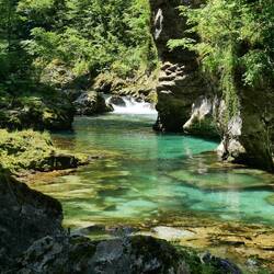 La gorge Vintgar
