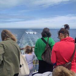 Die Polizei entert unsere Fähre. Kein Witz, aber eine Übung 😅