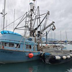 Aber auch Fischerboote