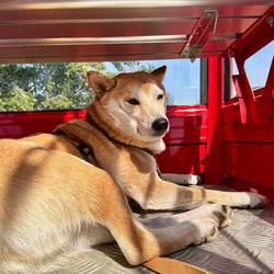 Aber ganz geheuer ist es auch wieder nicht!