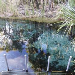 Bit of an idea how clear the water was