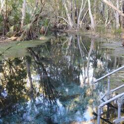 Using pool noodles we floated down the spring