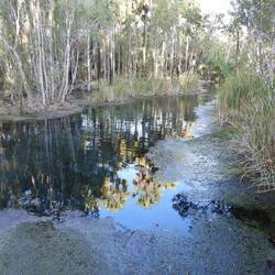 Bitter Springs - looked more inviting with sun on it