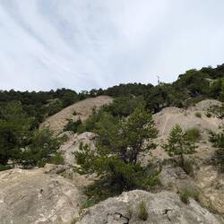 Da häts e coole Trail