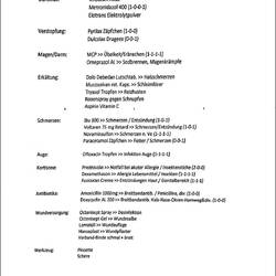 Meine"Medizintasche".Udo's Liste ist noch um einiges länger. Gebraucht hab' ich 1xVoltaren,1xImodium