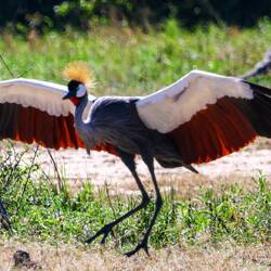 Spieglein, Spieglein an der Wand, wer ist der Schönste im ganzen Land?