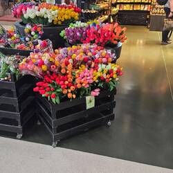 Tulpen aus Amsterdam.