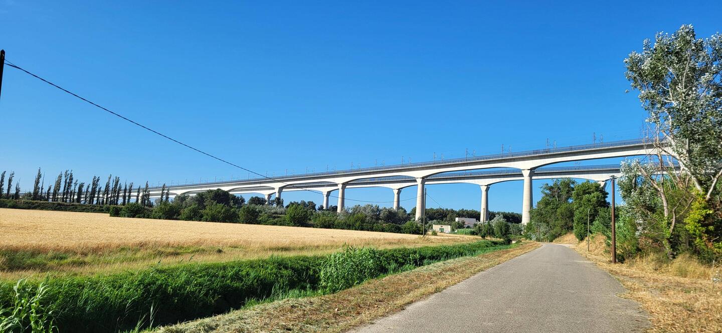 TGV Brücken hinter Avignon