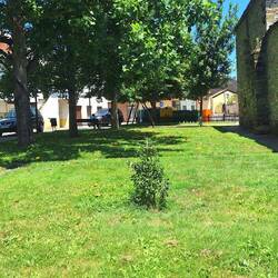A green space in the town