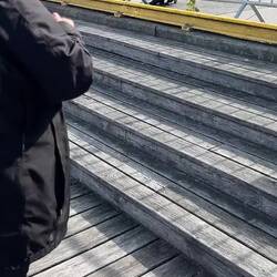 VIDEO of our Greeting!