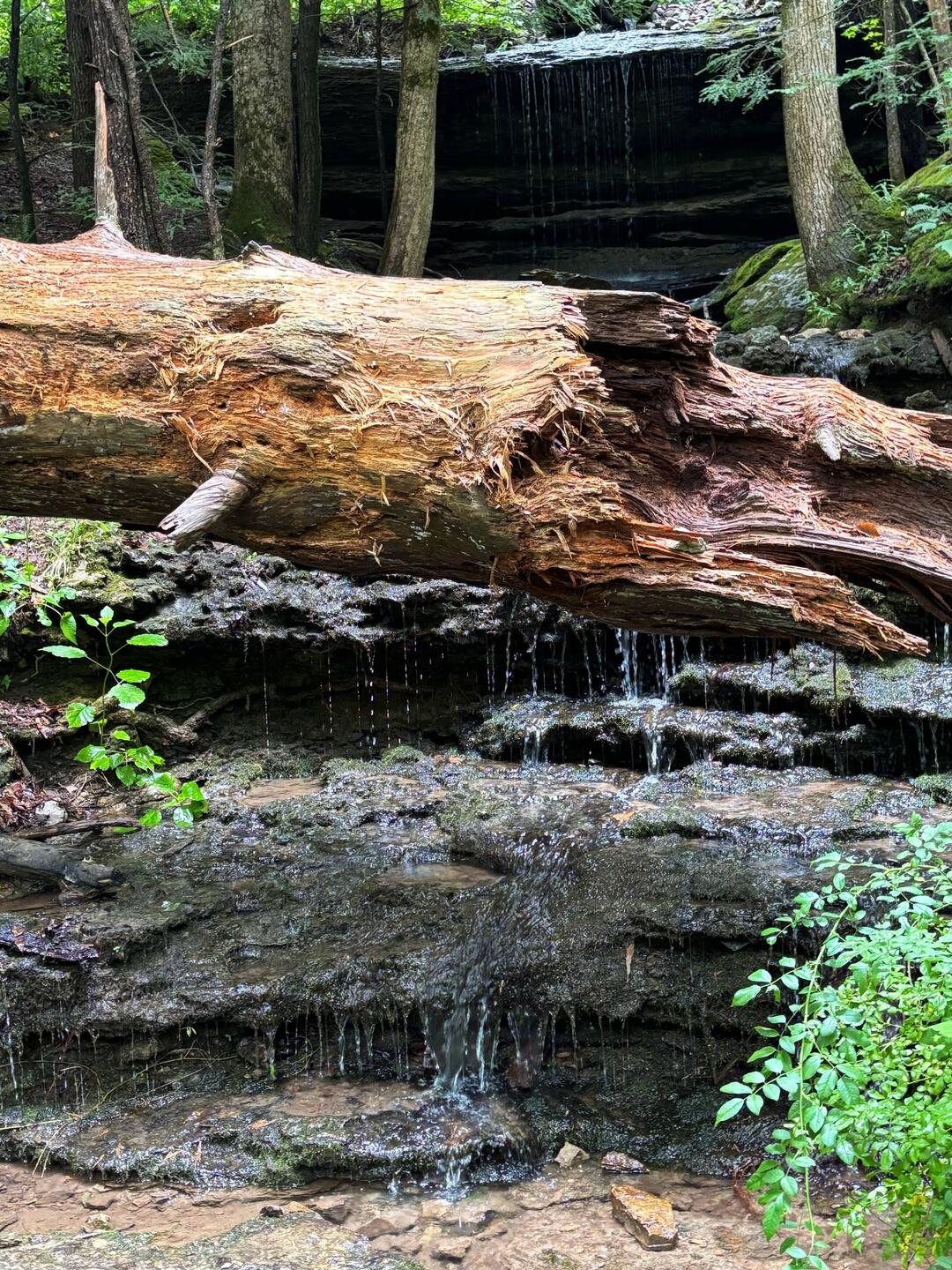 Burgess Falls State Park