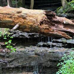 Burgess Falls State Park