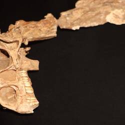 Irgendwann sehe ich auch mal so aus