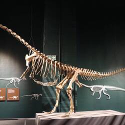 Rund um die Berge wurden Dinosaurierknochen gefunden...