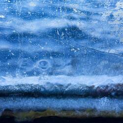 Ice on the inside of our cabin window ... it was quite cold overnight.