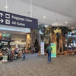 Fresno Airport - ended up sleeping the night here due to weather disruption in Atlanta