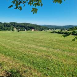 Auf dem Hochplateau Richtung Crno Vrh...