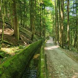 Dem historischen Wasserkanal entlang, bis zum stillgelegten Bergwerk in Idrija. Angenehm kühl...