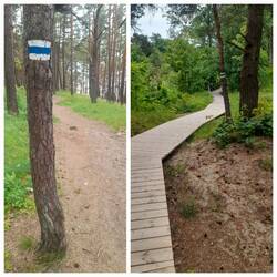 Wandern in den Dünen von Saulkrasti