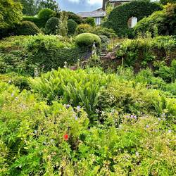 The Garden House - traumhaftester Garten