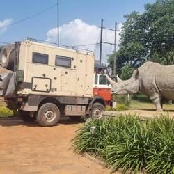 Im Rhino Park
