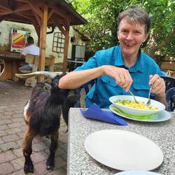 Wolli hat viel Spaß!