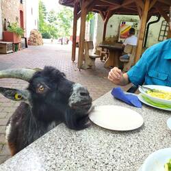 Das ist jetzt etwas zu viel des Guten.