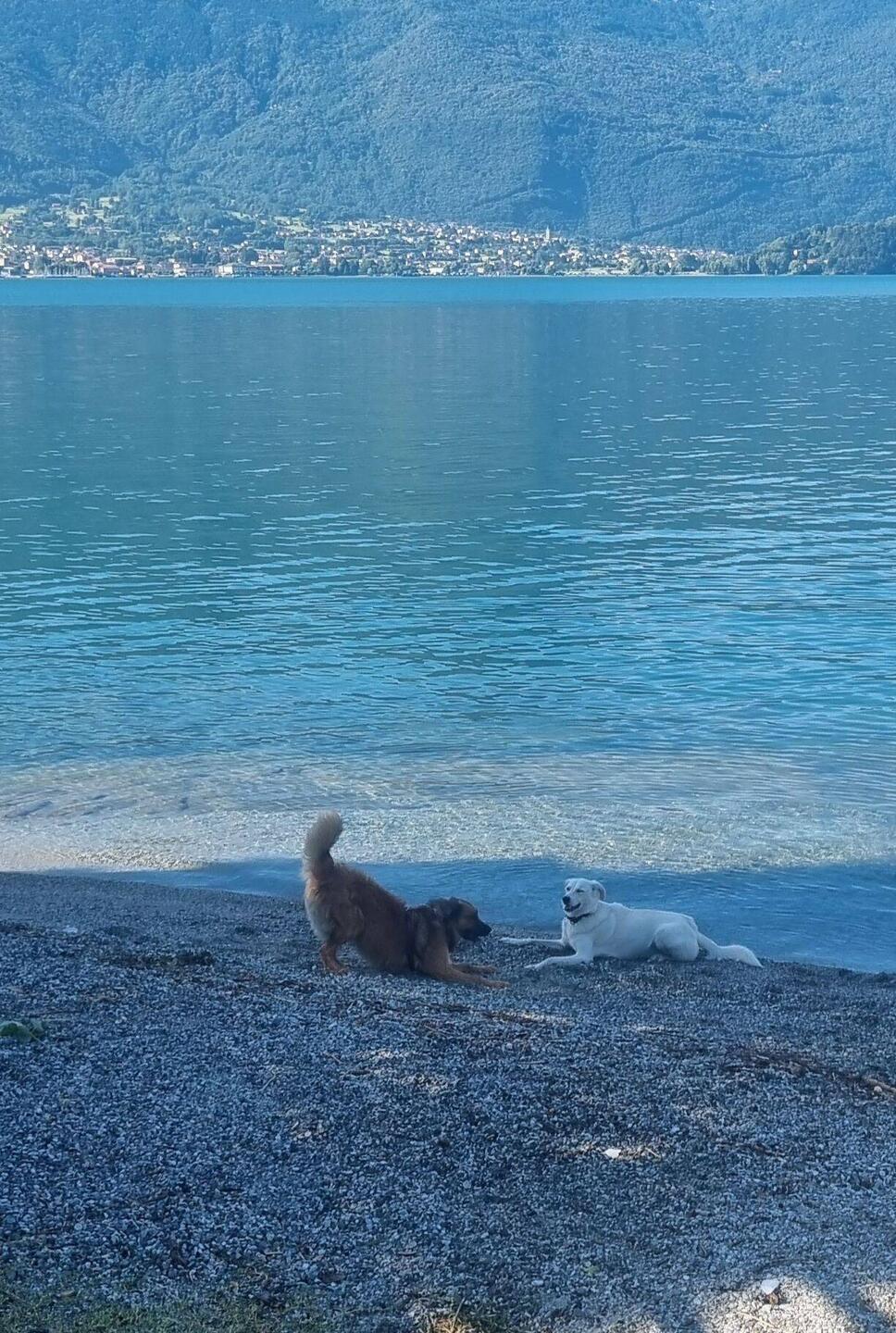 Morgenrunde, endlich, 1 Spielgefährte