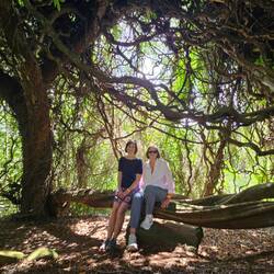 The St. Thomas Bean vines were incredible!