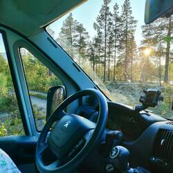 Um vor den Mosquitos in Sicherheit zu sein, mein Abendplatz