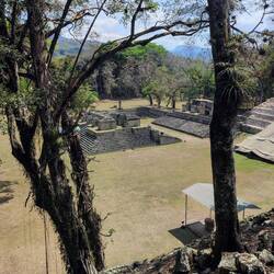 Blick von der Acrópolis auf die Plaza Central, Parque arqueológico
