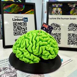 Mein BigBrain in Australien 🇦🇺