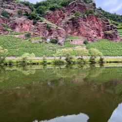Weinberge bei Ürzig