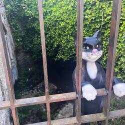 Der Kallenfelsbach durch Bernkastel zur Mosel, gut abgesichert