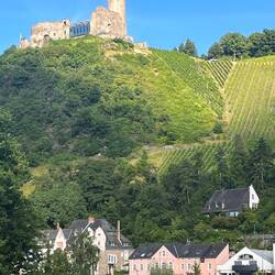 Burgruine Landshut oberhalb von Bernkastel