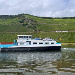 Wehlener Sonnenuhr - insgesamt gibt es 6 Sonnenuhr-Lagen an der Mosel