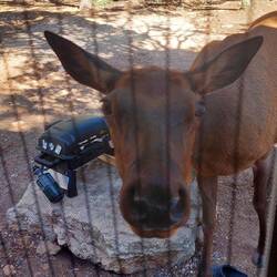 Neugierig bin ich ja gar nicht