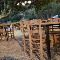 1x Brot weggeflogen bitte 🤣