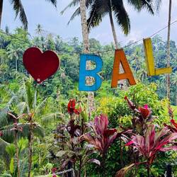 Touristische Reisterrassenanlage in Ubud
