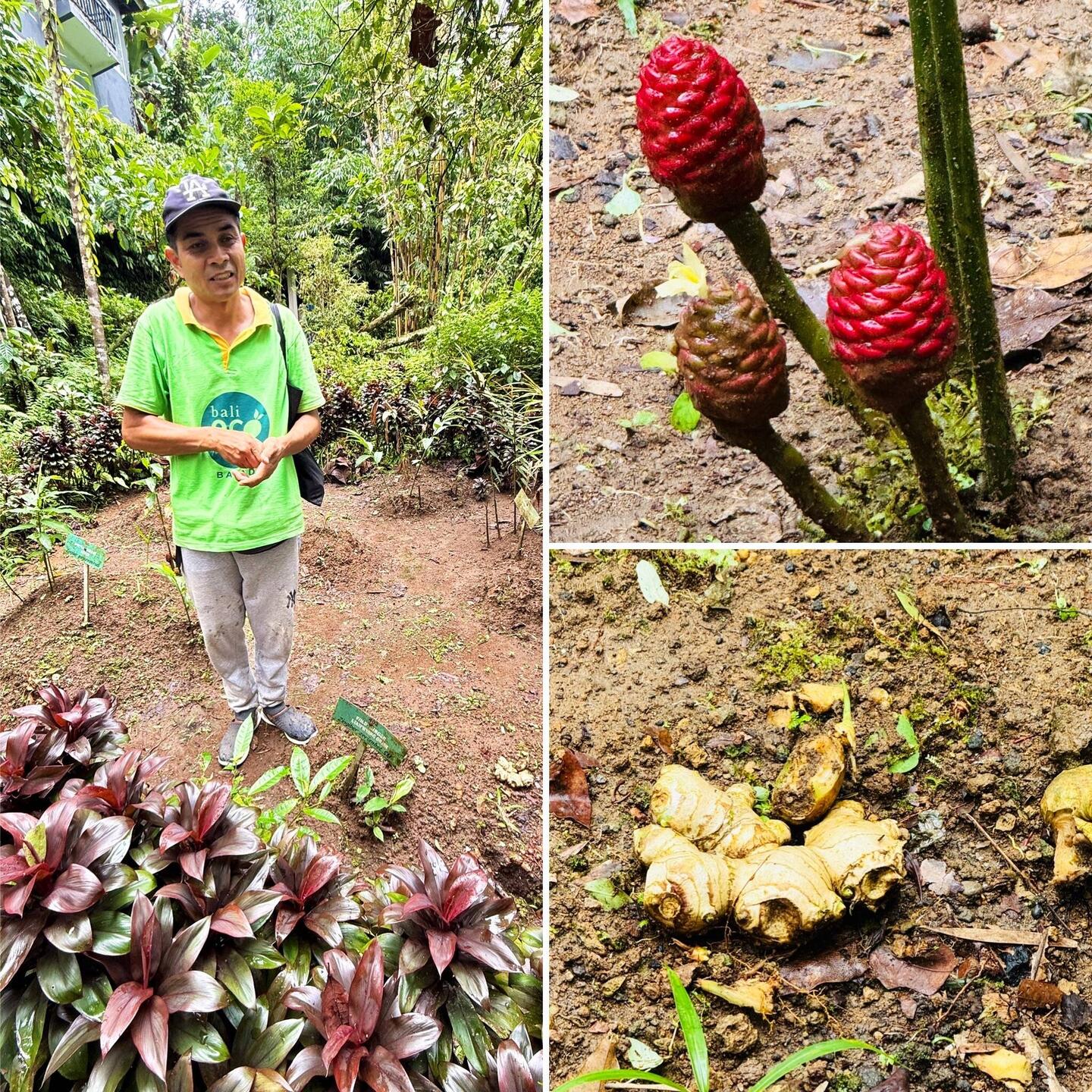 Wayan unser ortskundiger Führer.