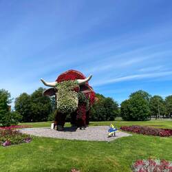 Eine der vielen Blumenskulpturen
