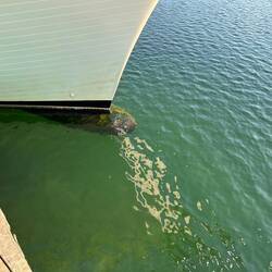 For the boaties among you. 45 North is the only Fleming built with the bulbous bow option