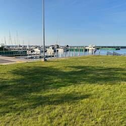 The Rogers City marina