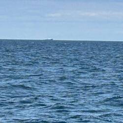 A long way off, but another passing vessel of interest