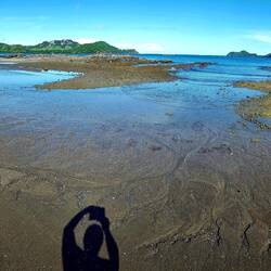 Panorama of Playa Panama at low tide.