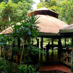 Camping Cañas Castillo. An excellent camping ground surrounded by nature.