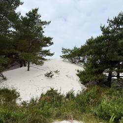 Tolle Dünen