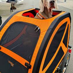 So gänzlich Frieden hat Wotan wohl noch nicht mit seinem Anhänger geschlossen