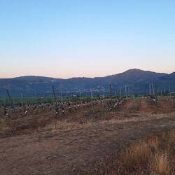 Wine country...my sort of country 😁